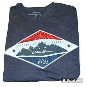 Eddie Bauer Mens Large Shirt, Gray Mountain Logo Graphic Tee Hiker Outdoors